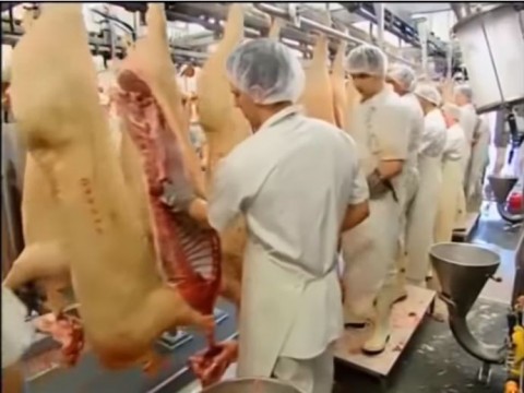 Fleischfabrik Tönnies Screenshot Mogelpackung